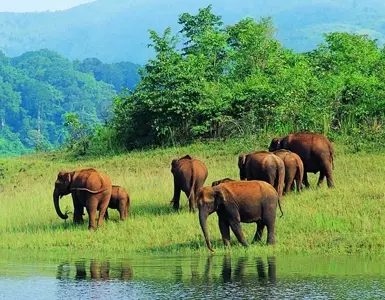 Kerala Backwater Tour